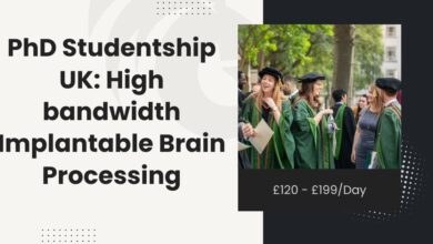 PhD Studentship UK: High-bandwidth Implantable Brain Processing