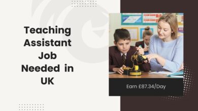 Teaching Assistant Job Needed in UK: Earn £87.34/Day